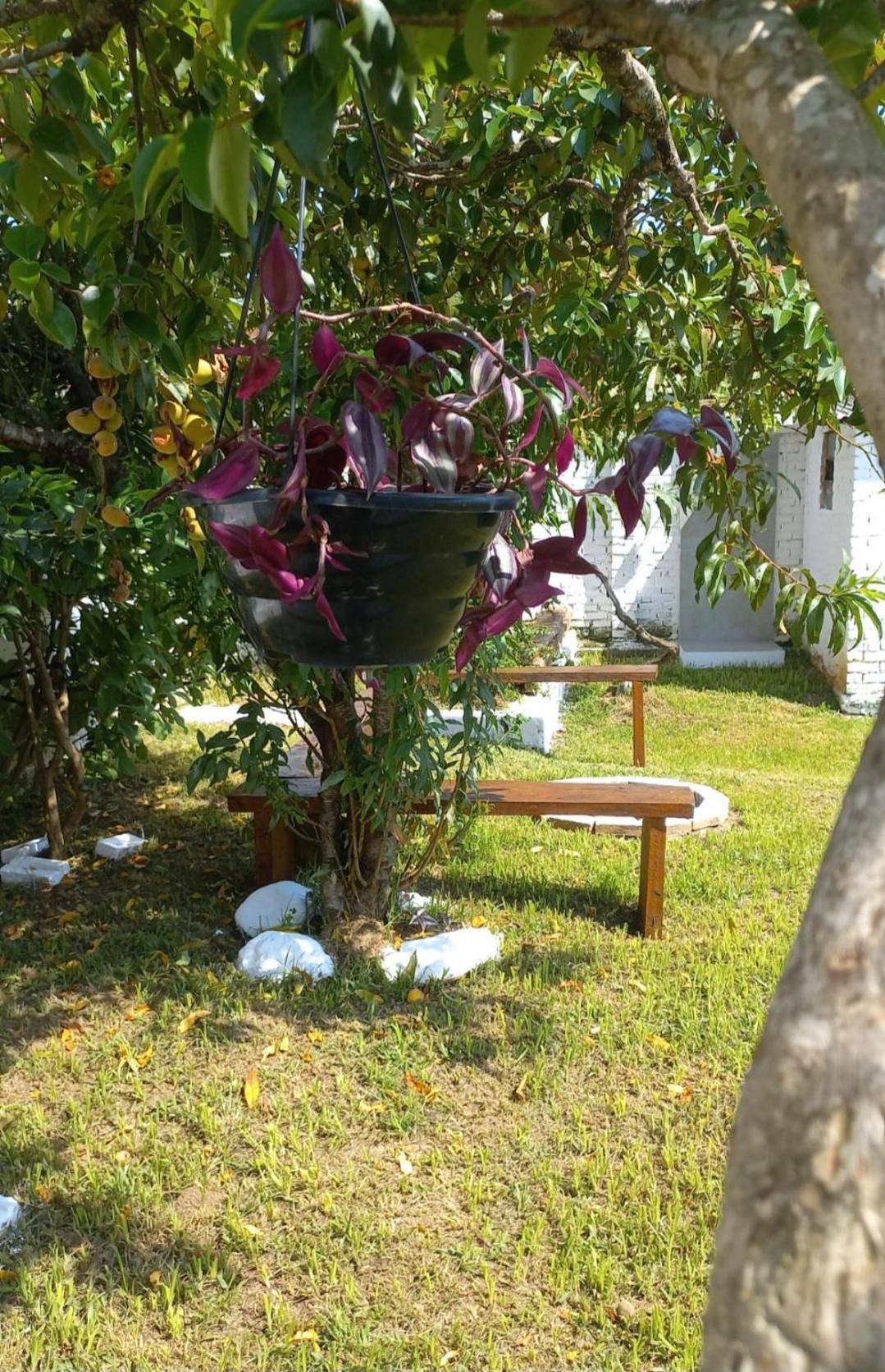 Casinha Verde Passa Quatro Exterior photo